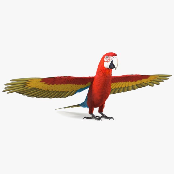 Red and Green Macaw Parrot Rigged 3D model