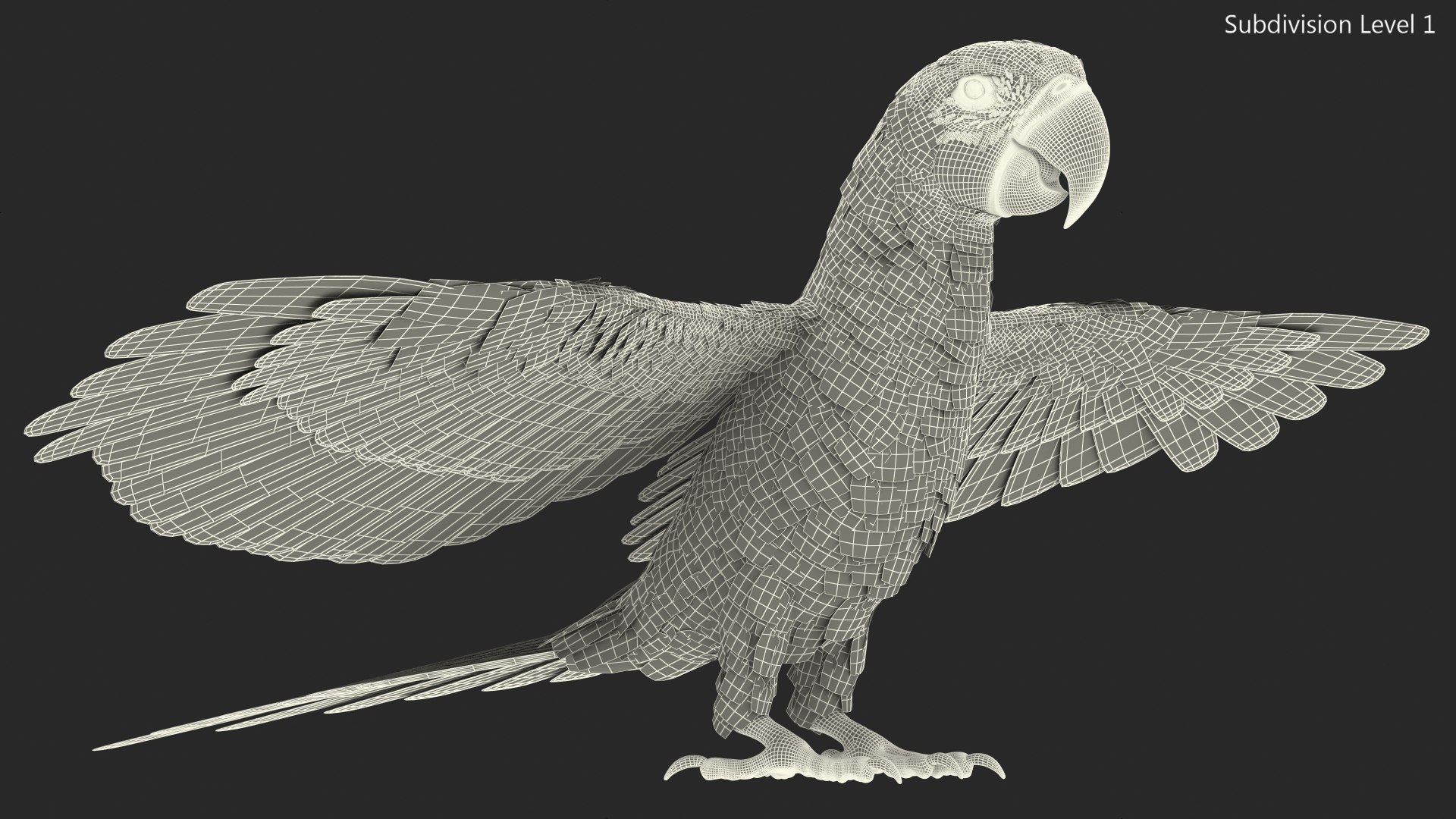 Red and Green Macaw Parrot Rigged 3D model https://p.turbosquid.com/ts-thumb/6k/9GbNJ4/f2/redandgreenmacawparrotrigged3dsmodel034/jpg/1629404836/1920x1080/fit_q87/59499ec5a1139b5d859a3158dd4a3b999a08ff8e/redandgreenmacawparrotrigged3dsmodel034.jpg