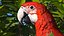 Perroquet ara rouge et vert truqué
