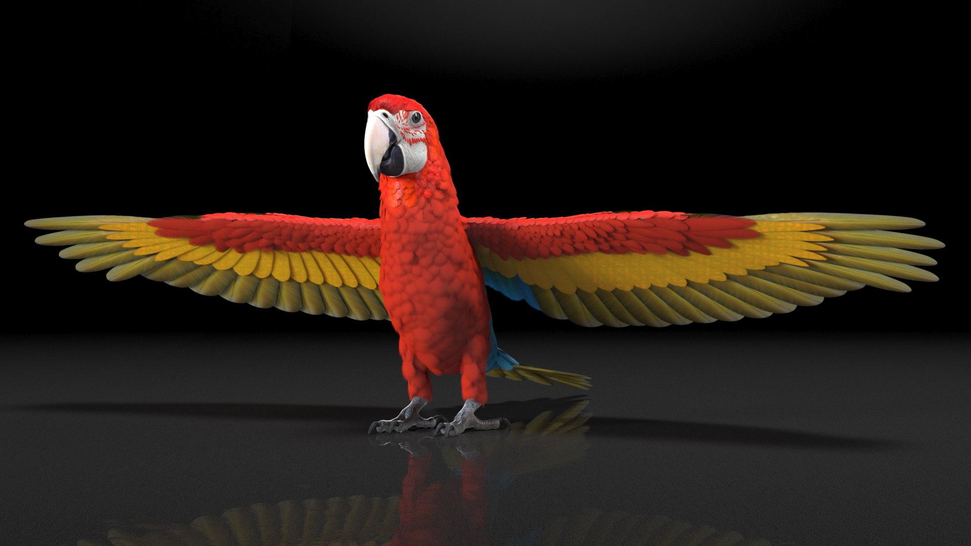 Red and Green Macaw Parrot Rigged 3D model https://p.turbosquid.com/ts-thumb/6k/9GbNJ4/kP/redandgreenmacawparrotrigged3dsmodel015/jpg/1629404791/1920x1080/fit_q87/fc65ff5fb731834db1685aa4a4f7457102bf58fc/redandgreenmacawparrotrigged3dsmodel015.jpg