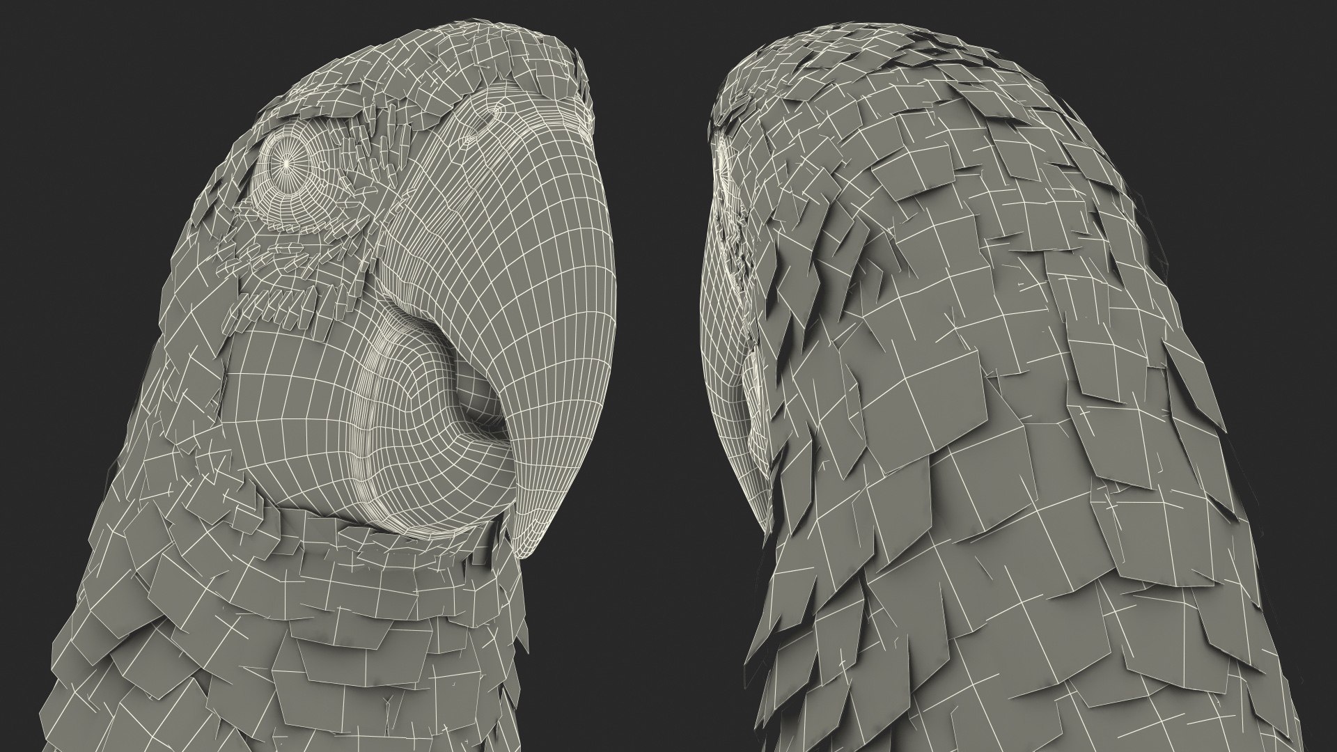 Red and Green Macaw Parrot Rigged 3D model https://p.turbosquid.com/ts-thumb/6k/9GbNJ4/pI/redandgreenmacawparrotrigged3dsmodel042/jpg/1629404857/1920x1080/fit_q87/2a3ca16ba8346e773a7c349c91f019c23432ba23/redandgreenmacawparrotrigged3dsmodel042.jpg