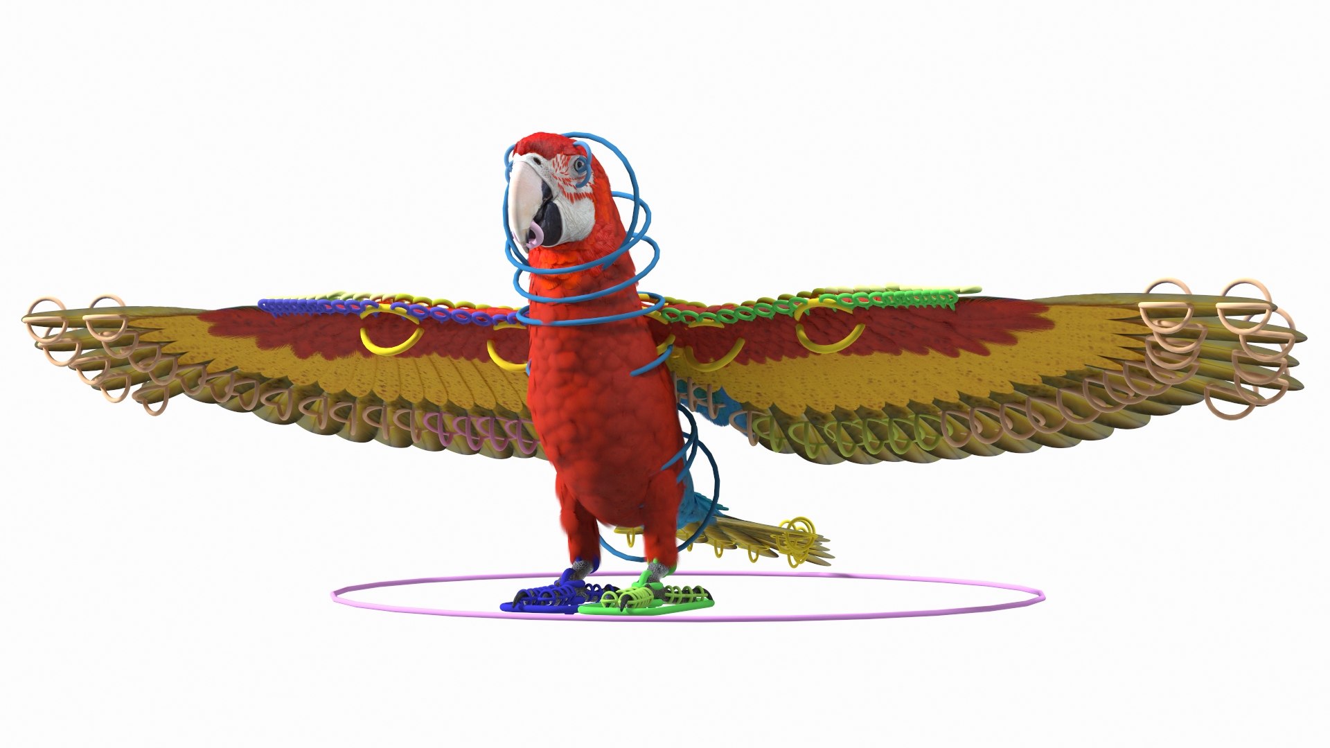 Red and Green Macaw Parrot Rigged 3D model https://p.turbosquid.com/ts-thumb/6k/9GbNJ4/qQ/redandgreenmacawparrotrigged3dsmodel002/jpg/1629404753/1920x1080/fit_q87/abd3b49a6922aa129f335149a991466f931d98db/redandgreenmacawparrotrigged3dsmodel002.jpg