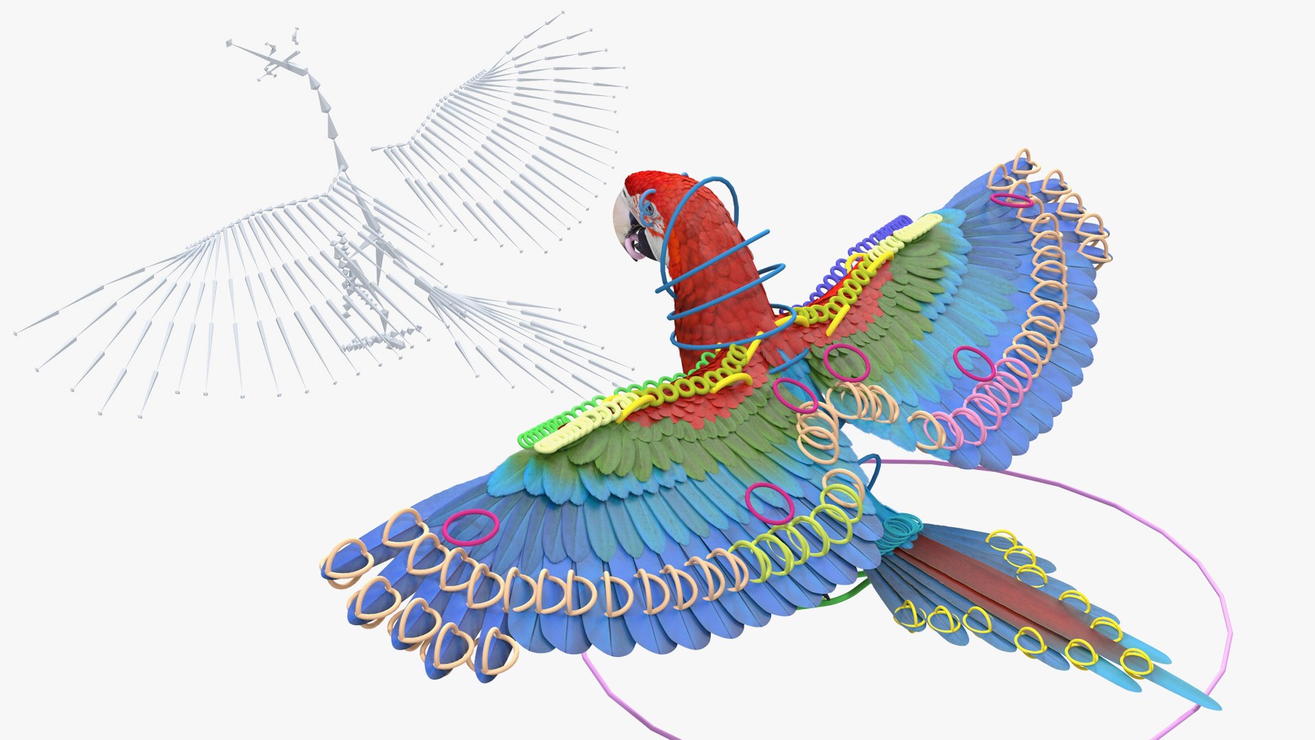 Red and Green Macaw Parrot Rigged 3D model https://p.turbosquid.com/ts-thumb/6k/9GbNJ4/sZ/redandgreenmacawparrotrigged3dsmodel003/jpg/1629404755/1920x1080/fit_q87/1fde81afc794c93b2cb2bfd4d50bb6f4cd6004fd/redandgreenmacawparrotrigged3dsmodel003.jpg