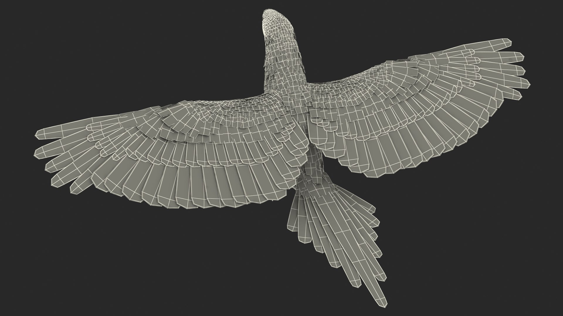 Red and Green Macaw Parrot Rigged 3D model https://p.turbosquid.com/ts-thumb/6k/9GbNJ4/su/redandgreenmacawparrotrigged3dsmodel040/jpg/1629404852/1920x1080/fit_q87/8298da9c206f657b28b772b4f695e2cc5577ddf0/redandgreenmacawparrotrigged3dsmodel040.jpg