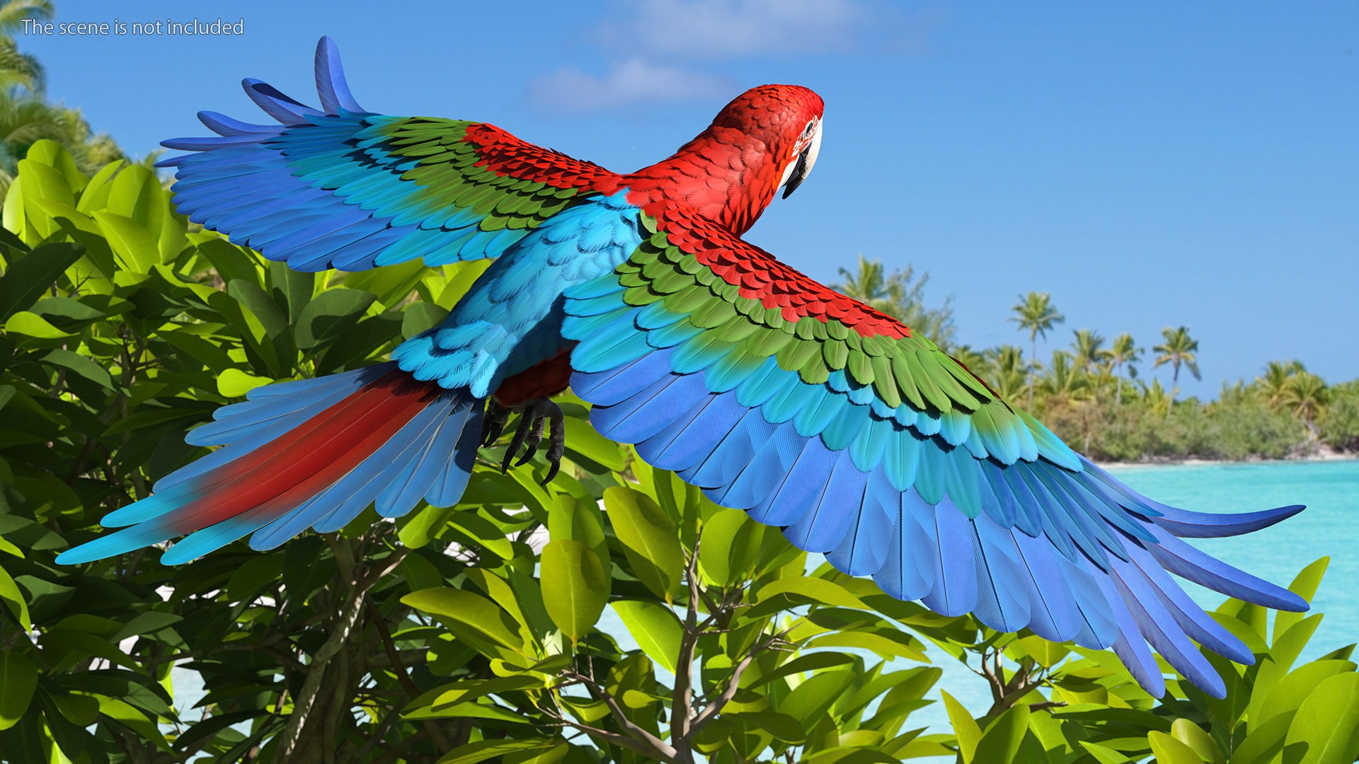 Red and Green Macaw Parrot Rigged 3D model https://p.turbosquid.com/ts-thumb/6k/9GbNJ4/x7/redandgreenmacawparrotrigged3dsmodel007/jpg/1629404767/1920x1080/fit_q87/8d80a8b30670d566e3e27835e09d321bc57d856f/redandgreenmacawparrotrigged3dsmodel007.jpg