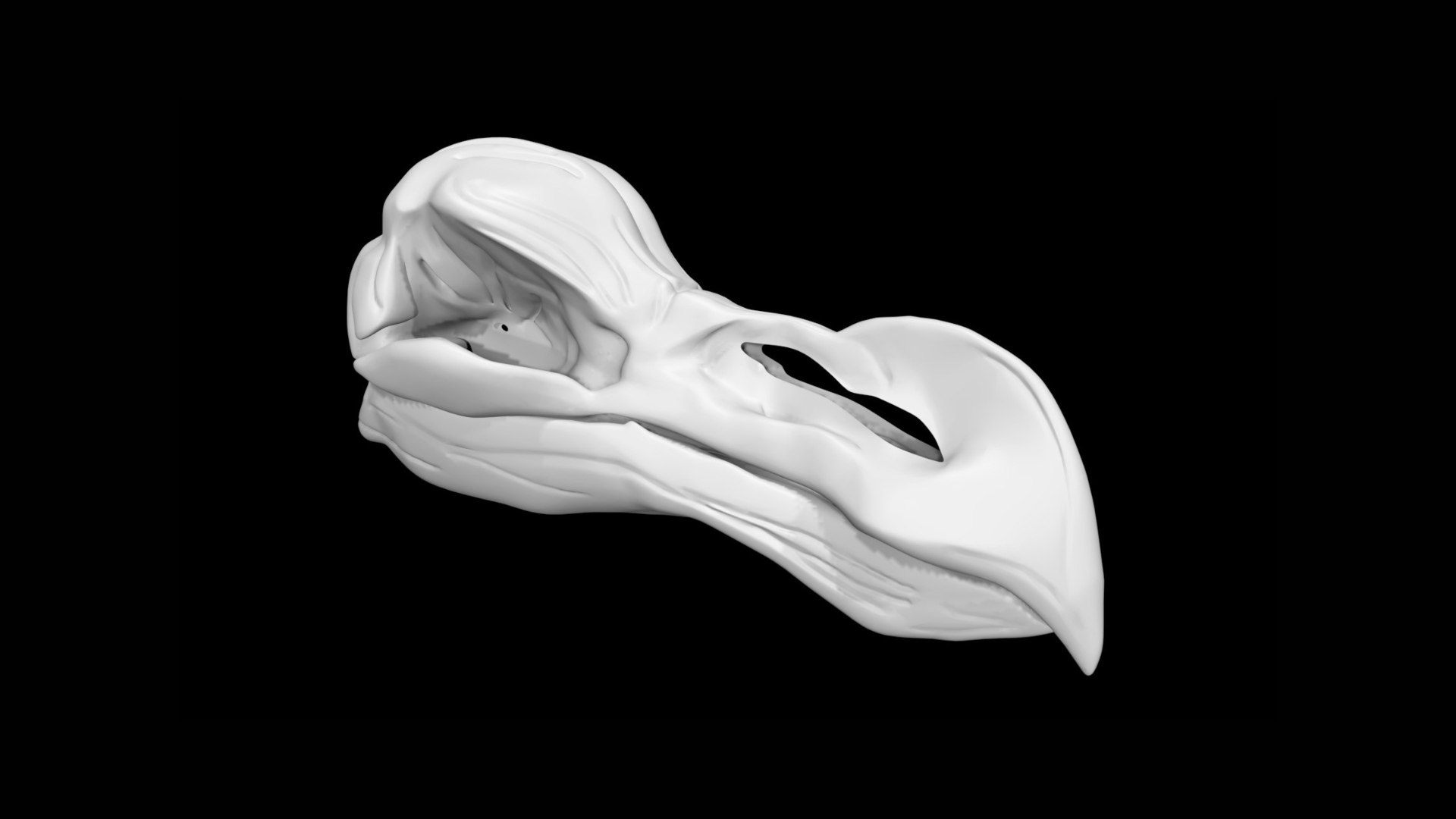 Bird Skulls 3D model https://p.turbosquid.com/ts-thumb/6k/CDBn94/vY/skull1/jpg/1651138232/1920x1080/fit_q87/668471909c33678cdf5f40864cf63c9b6e2bd7e2/skull1.jpg