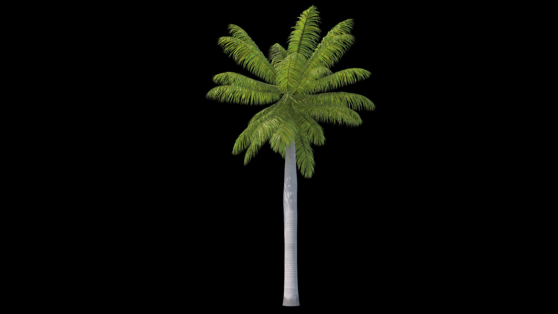 3D royal 03 model https://p.turbosquid.com/ts-thumb/6k/Eabfmw/3iGi9sOX/_sign_2/jpg/1601895786/1920x1080/fit_q87/b5bc8494d8a4efa5ac0366ca08bbbd131e981dd6/_sign_2.jpg