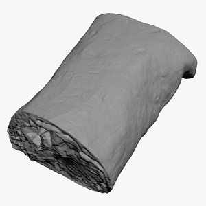 Burrito Half 02 3D Print 3D model