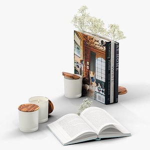 Decor Set 46 Gypsophila and books