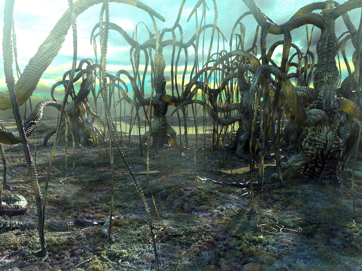 alien forest 3d max https://p.turbosquid.com/ts-thumb/6k/J1PQtG/s3QRZPUV/87888/jpg/1469559920/1920x1080/fit_q87/3e9f6fdd7930287468883b9179d5e124e2b77ab5/87888.jpg