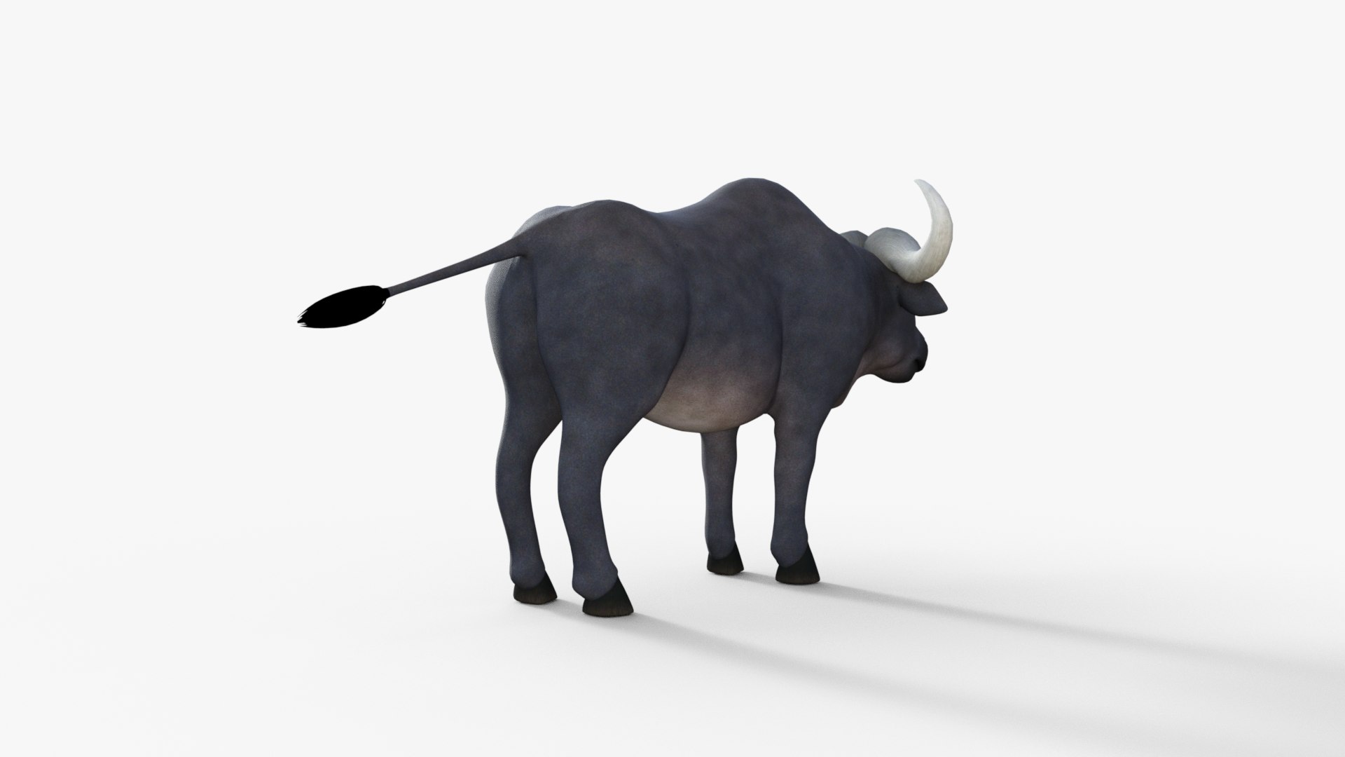 Cartoon Buffalo Rigged 3D Model - TurboSquid 2017388