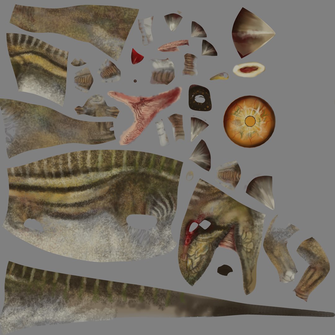 rigged allosaurus obj https://p.turbosquid.com/ts-thumb/6k/ZmP2Hf/NTAew83P/allosaurus_diffuse/png/1446135349/1920x1080/fit_q87/caab4517c493380ed76cbd3e72f4ab1ebdfaa8b5/allosaurus_diffuse.jpg