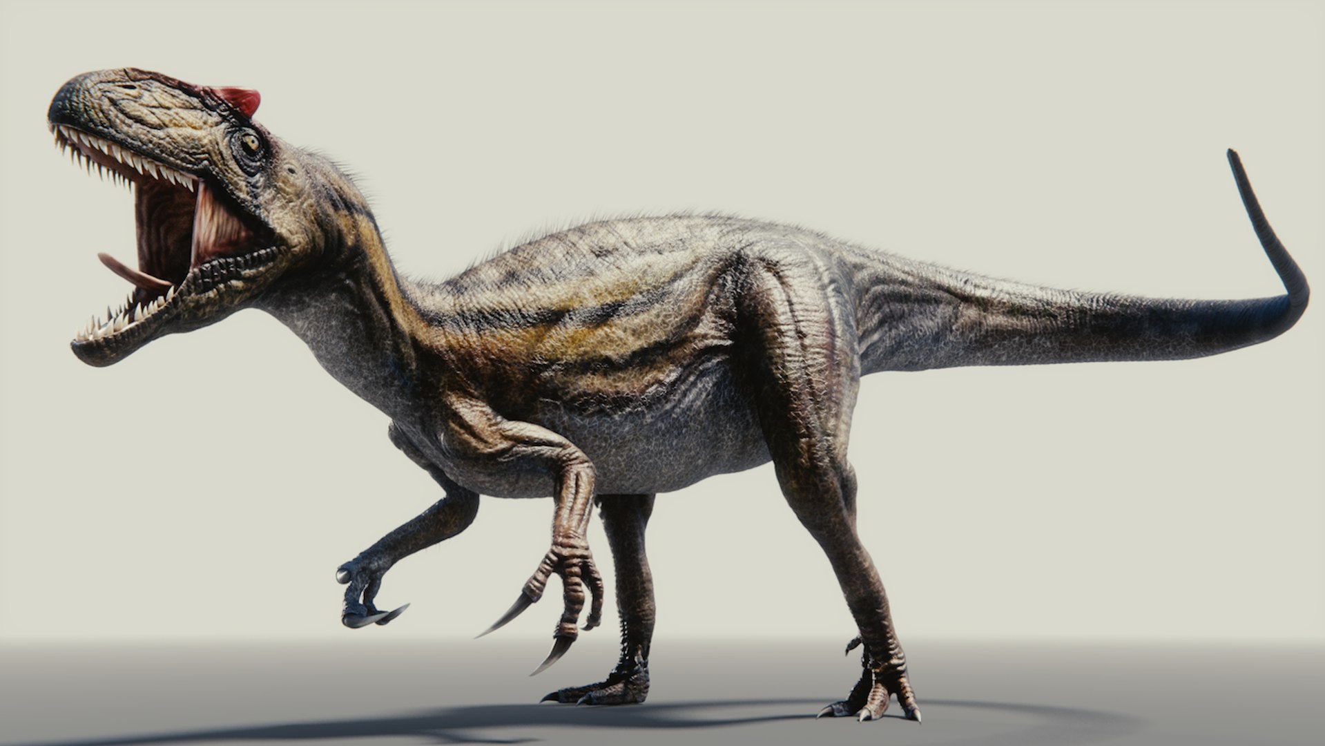 rigged allosaurus obj https://p.turbosquid.com/ts-thumb/6k/ZmP2Hf/VoFr4p3V/promo1scaled/png/1446132276/1920x1080/fit_q87/e8234aa32435e2a0d5d6af2108d679bc0a1d5493/promo1scaled.jpg
