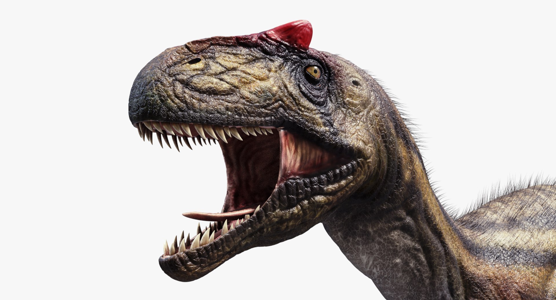 rigged allosaurus obj https://p.turbosquid.com/ts-thumb/6k/ZmP2Hf/Z897WxDp/10/png/1446137522/1920x1080/fit_q87/0f79aec39c36ba3e181f17c3965b2f7b4c5600b6/10.jpg