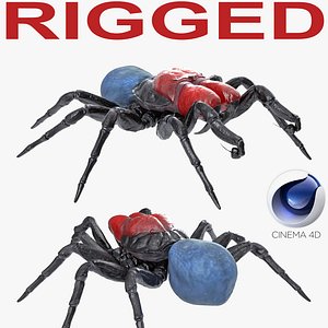 3D mouse spider rigged