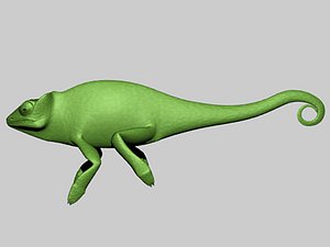 Chameleon