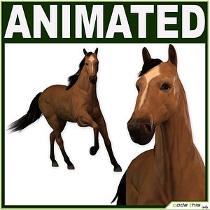Wild Horse CG
