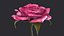 3D Rose model