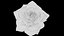 3D Rose model