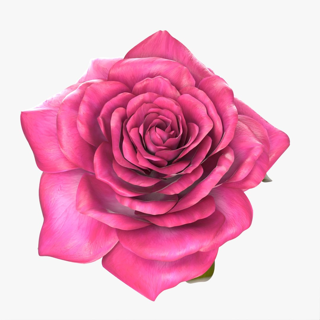 3D Rose model https://p.turbosquid.com/ts-thumb/6l/4pITXx/b0/masterlayer.52/jpg/1705737072/1920x1080/fit_q87/b37591feb5a580657d2fe3185f5960626bb606f2/masterlayer.52.jpg
