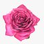 3D Rose model