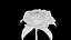 3D Rose model