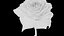3D Rose model