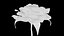 3D Rose model