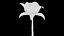 3D Rose model