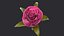 3D Rose model