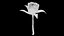 3D Rose model
