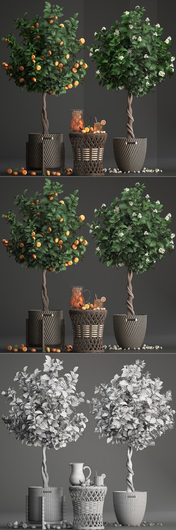 mandarin tree fruit 3D model https://p.turbosquid.com/ts-thumb/6l/EvLWj0/3CPYrFly/citrustree19011911/jpg/1548011615/1920x1080/fit_q87/5e022a31d6c92c6a7c1f32521ec70e0b5eb69e84/citrustree19011911.jpg