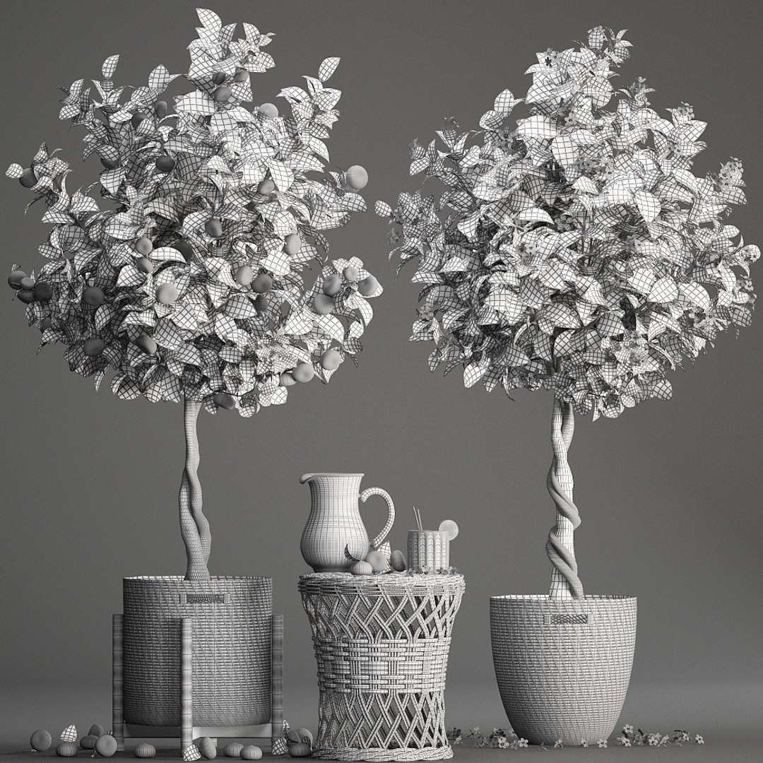 mandarin tree fruit 3D model https://p.turbosquid.com/ts-thumb/6l/EvLWj0/QXmiN0DK/citrustree19011909/jpg/1548011615/1920x1080/fit_q87/9ad68206e5675dc5fa9dd88573e9af326cb38e5f/citrustree19011909.jpg