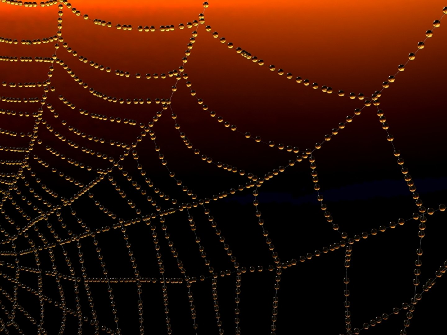 max dew spider web https://p.turbosquid.com/ts-thumb/6l/H8w9qV/8buTIReJ/spiderweb02_b/jpg/1190578921/1920x1080/fit_q87/feb6c6394342ed7114136885ee6efb1c650f28eb/spiderweb02_b.jpg