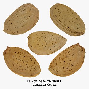 3D model Almonds With Shell Collection 01 - 5 models RAW Scans