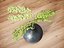 Fern plant in vase