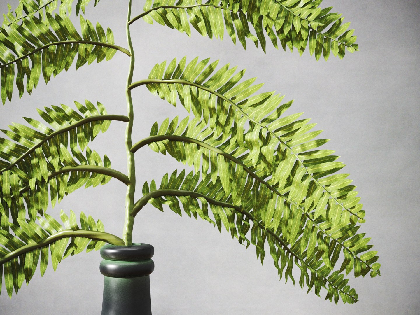 fern plant vase 3D model https://p.turbosquid.com/ts-thumb/6l/PQpBBh/Vc23mItX/singlefernplant2/jpg/1545866159/1920x1080/fit_q87/28fa51a774711625650e24e82f4d2e74ebdccd45/singlefernplant2.jpg