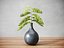 Fern plant in vase