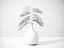 Fern plant in vase