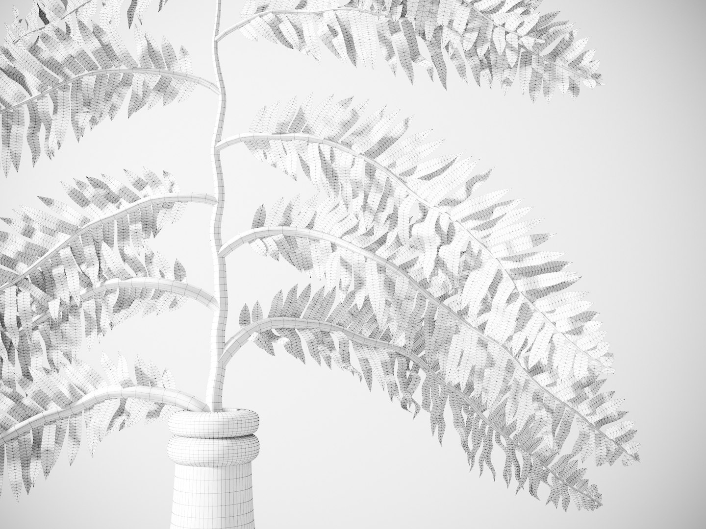 fern plant vase 3D model https://p.turbosquid.com/ts-thumb/6l/PQpBBh/wGqDsxaR/singlefernplantwire2/jpg/1545927652/1920x1080/fit_q87/c41afad463fb4a9256845826cf0620f07ffc04e6/singlefernplantwire2.jpg