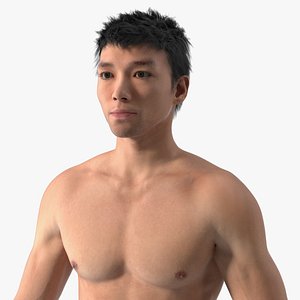 Asian Male Body Anatomy