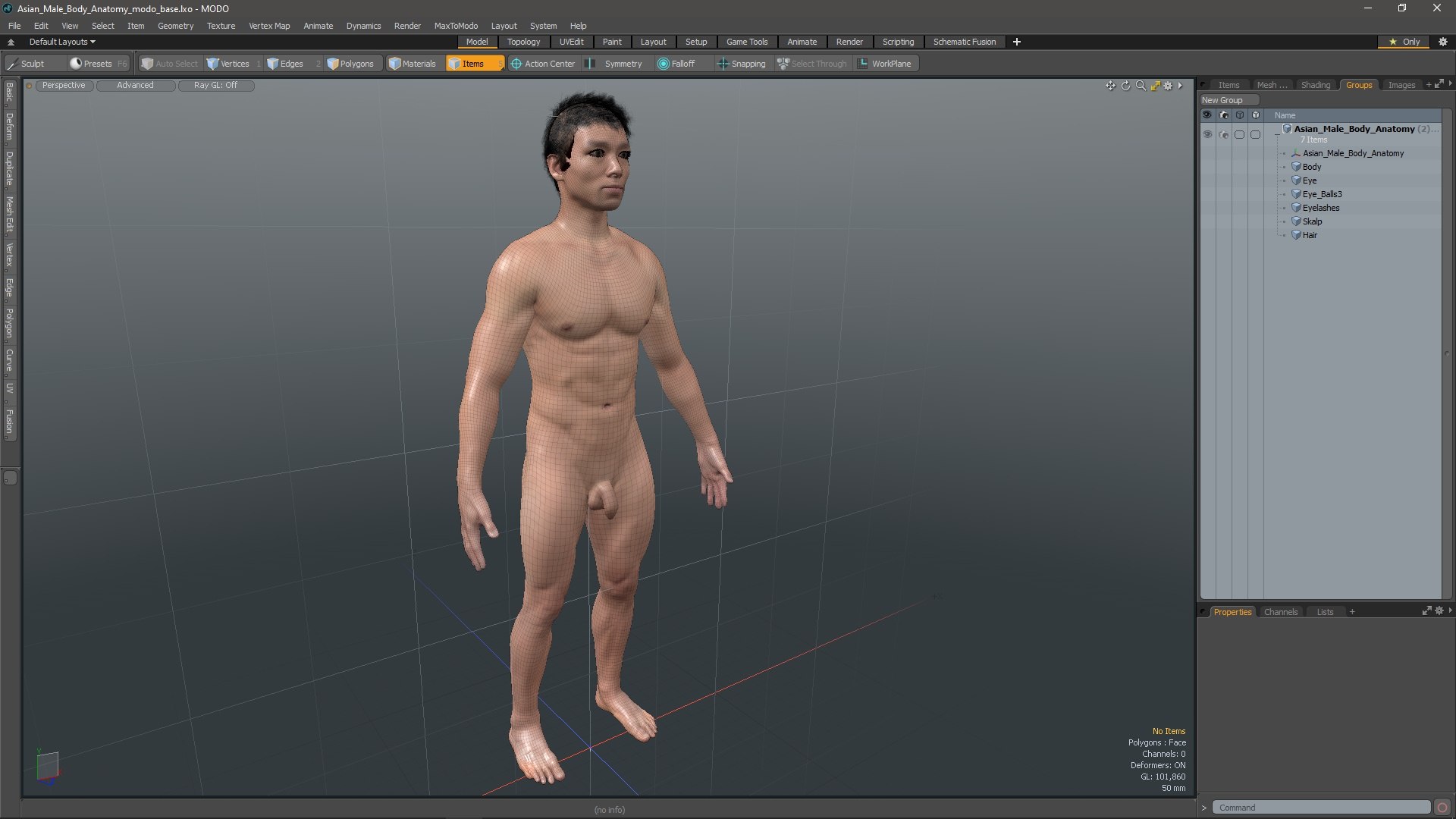 Asian Male Body Anatomy 3D model https://p.turbosquid.com/ts-thumb/6l/QHkdC5/7r/asianmalebodyanatomyvray3dmodel019/jpg/1729644959/1920x1080/fit_q87/b6b0d61d11d941c6e50191980a9a52422e060227/asianmalebodyanatomyvray3dmodel019.jpg