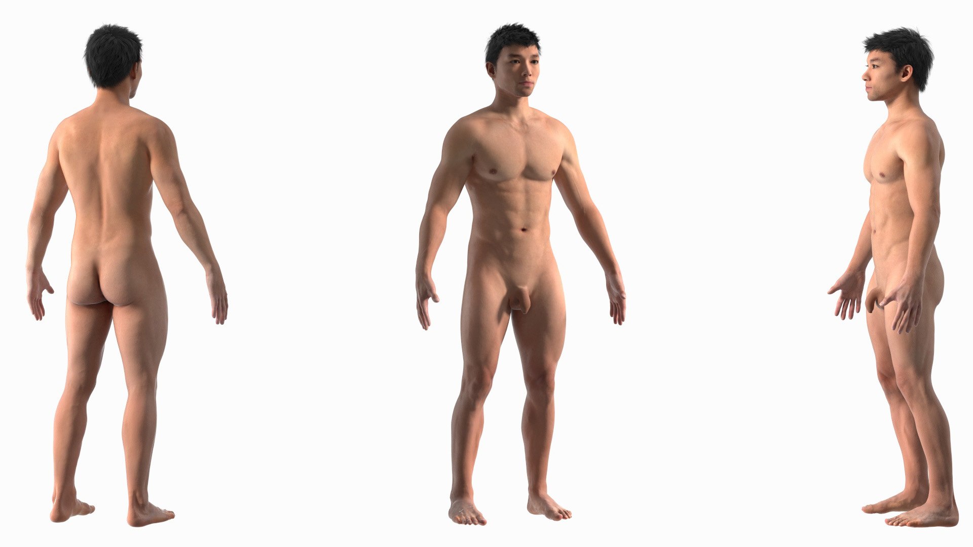 Asian Male Body Anatomy 3D model https://p.turbosquid.com/ts-thumb/6l/QHkdC5/9w/asianmalebodyanatomyvray3dmodel009/jpg/1729644898/1920x1080/fit_q87/df9cc42de27950bbcb1fdefc46273fe854b58c5f/asianmalebodyanatomyvray3dmodel009.jpg