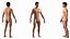 Anatomia do corpo masculino asiático
