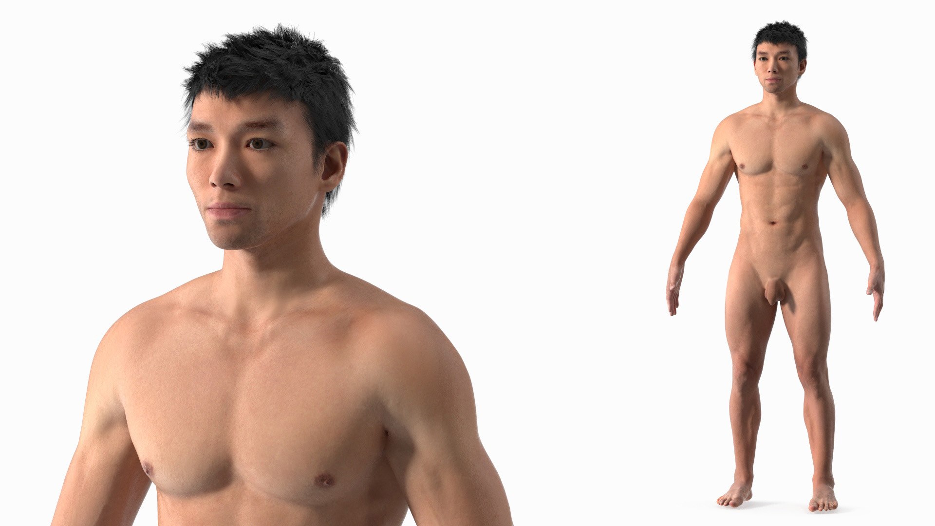 Asian Male Body Anatomy 3D model preview