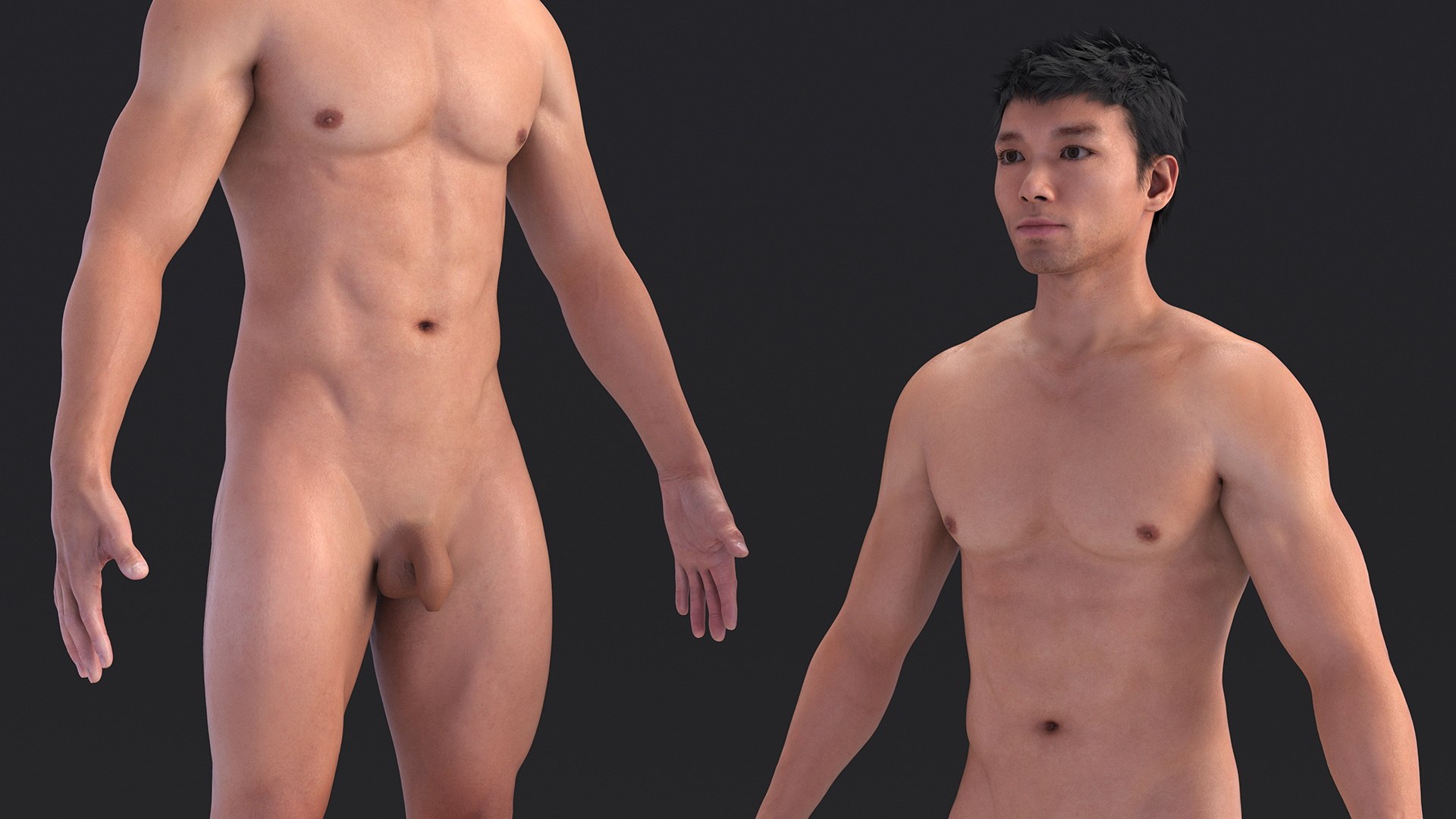 Asian Male Body Anatomy 3D model https://p.turbosquid.com/ts-thumb/6l/QHkdC5/Nc/asianmalebodyanatomyvray3dmodel007/jpg/1729644887/1920x1080/fit_q87/5aa6a6148eec5d48d29c7743fc50a989376f02cd/asianmalebodyanatomyvray3dmodel007.jpg