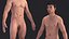 Anatomia do corpo masculino asiático