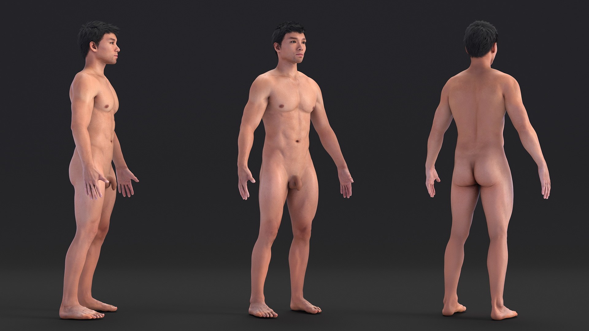 Asian Male Body Anatomy 3D model https://p.turbosquid.com/ts-thumb/6l/QHkdC5/Wb/asianmalebodyanatomyvray3dmodel006/jpg/1729644880/1920x1080/fit_q87/b2a1e10d25cd7b2ad6918043fb1c09b4ae11ea0d/asianmalebodyanatomyvray3dmodel006.jpg