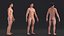 Anatomia do corpo masculino asiático