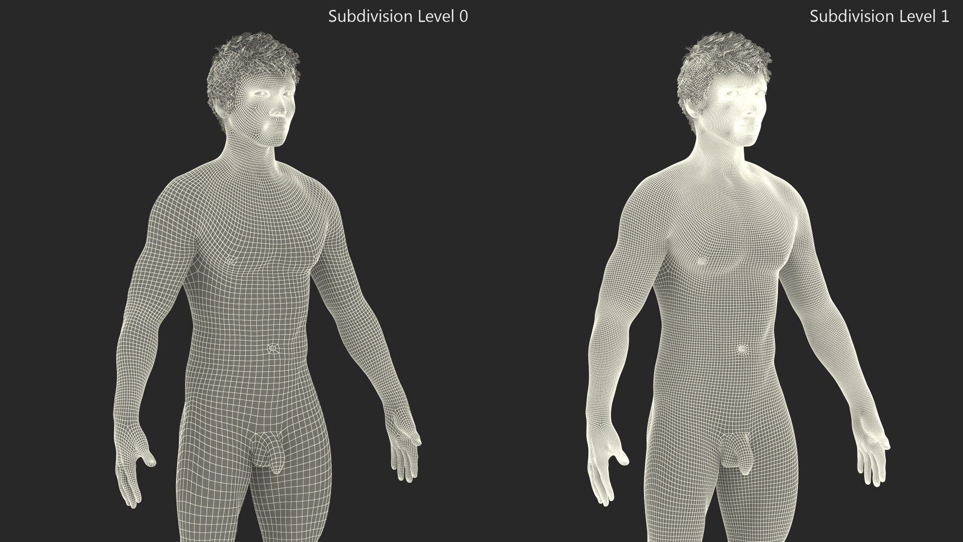 Asian Male Body Anatomy 3D model https://p.turbosquid.com/ts-thumb/6l/QHkdC5/cL/asianmalebodyanatomyvray3dmodel012/jpg/1729644917/1920x1080/fit_q87/84837e4d679f1efedb980f9951fb54c29643bec9/asianmalebodyanatomyvray3dmodel012.jpg